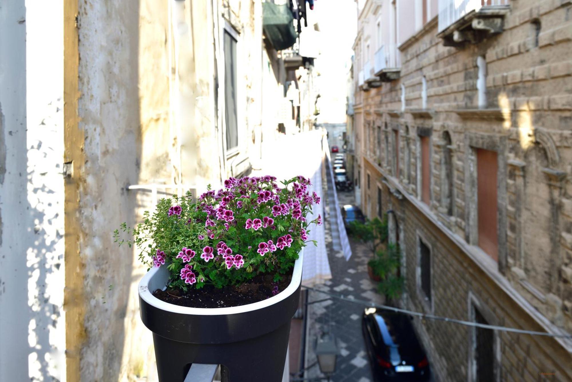 Ciaobari Apartment - Elegant 4 Bedrooms In The Heart Of Old Town エクステリア 写真